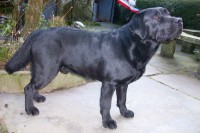 /album/fotogaleria/a041-600x400-jpg/